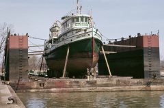 Thumbnail Image for Macassa