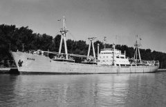 Thumbnail Image for Maas