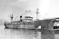 Thumbnail Image for Sunrell oncontextmenu=