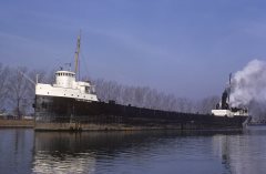 Thumbnail Image for Fort Willdoc