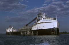 Thumbnail Image for H. Lee White