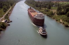 Thumbnail Image for William A Reiss