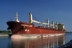 Thumbnail Image for Federal Ems