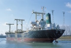 Thumbnail Image for Scan Trioarrow