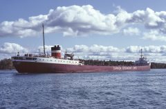 Thumbnail Image for T.R. McLagan