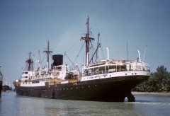 Thumbnail Image for Tabian oncontextmenu=