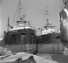 Thumbnail Image for F W Moore