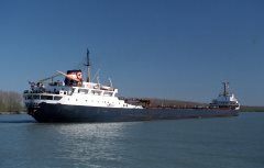 Thumbnail Image for Algogulf