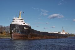 Thumbnail Image for Algomarine oncontextmenu=