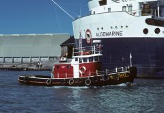 Thumbnail Image for Donald Bert