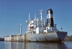 Thumbnail Image for Skaw Prince oncontextmenu=