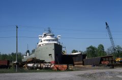 Thumbnail Image for T W Robinson