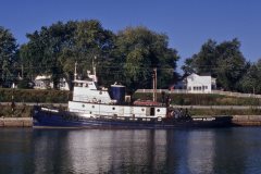 Thumbnail Image for Wilfred M. Cohen