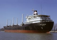 Thumbnail Image for Wilfred oncontextmenu=