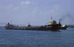 Thumbnail Image for Walter A. Sterling