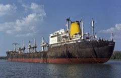 Thumbnail Image for Adimon