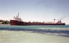 Thumbnail Image for William A. Reiss