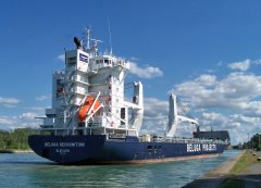 Thumbnail Image for Beluga Recognition