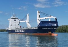 Thumbnail Image for Beluga Recognition