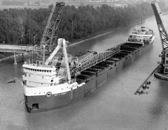 Thumbnail Image for Roy A. Jodrey