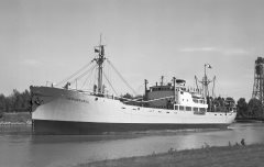 Thumbnail Image for Veslefjell