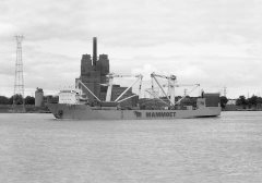 Thumbnail Image for Project Orient