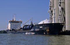 Thumbnail Image for Basat