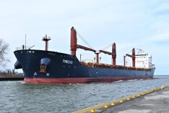 Thumbnail Image for Theo G