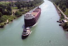 Thumbnail Image for Robert C Norton