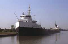 Thumbnail Image for Cedarglen