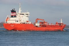 Thumbnail Image for Algoluna