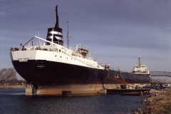 Thumbnail Image for Peter Misener