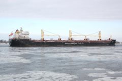 Thumbnail Image for Perelik