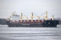 Thumbnail Image for Perelik