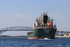 Thumbnail Image for Shoveler