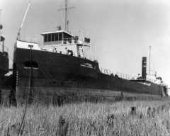 Thumbnail Image for Cardinal