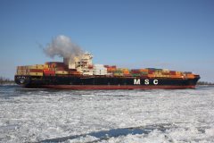 Thumbnail Image for MSC Bhavya V