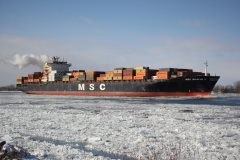 Thumbnail Image for MSC Bhavya V