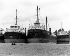 Thumbnail Image for Picton