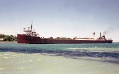 Thumbnail Image for William A Reiss