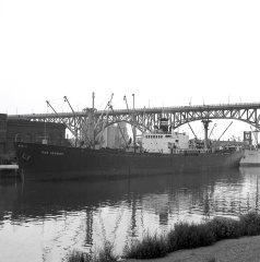 Thumbnail Image for Sag Harbor