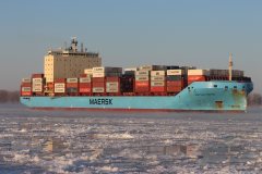 Thumbnail Image for Vistula Maersk
