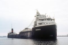 Thumbnail Image for Ferndale