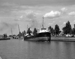Thumbnail Image for J N McWatters