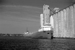 Thumbnail Image for Sir James Dunn