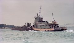 Thumbnail Image for Cheyenne