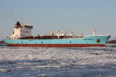 Thumbnail Image for Maersk Edward