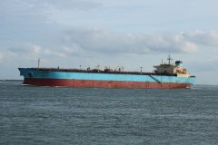 Thumbnail Image for Maersk Petrel